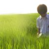 All About Lily Chou-Chou (2001) scene