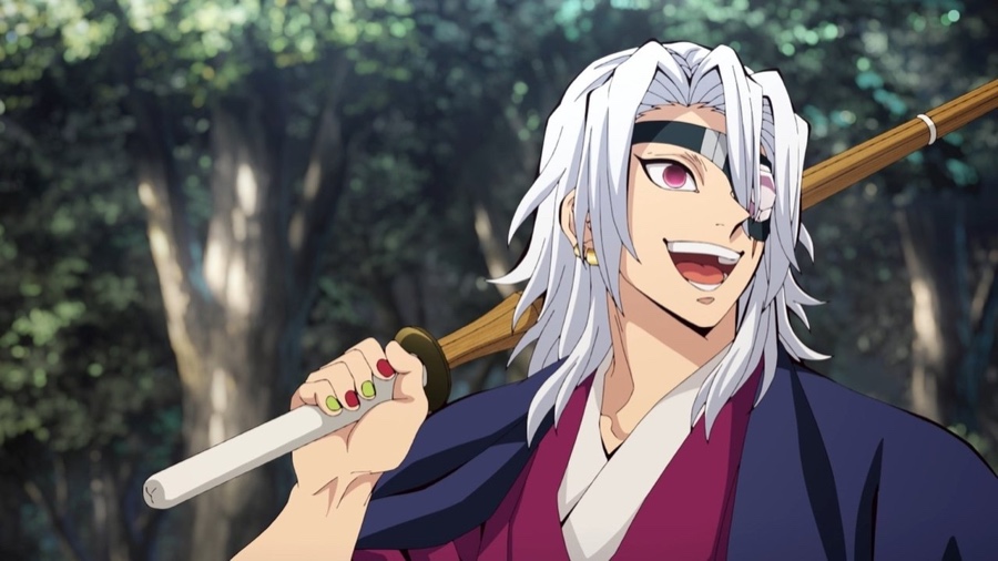 Demon Slayer: Kimetsu no Yaiba Hashira Training Arc
