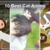 10 Best Cat Anime: Where to Stream Them in the US (2026)