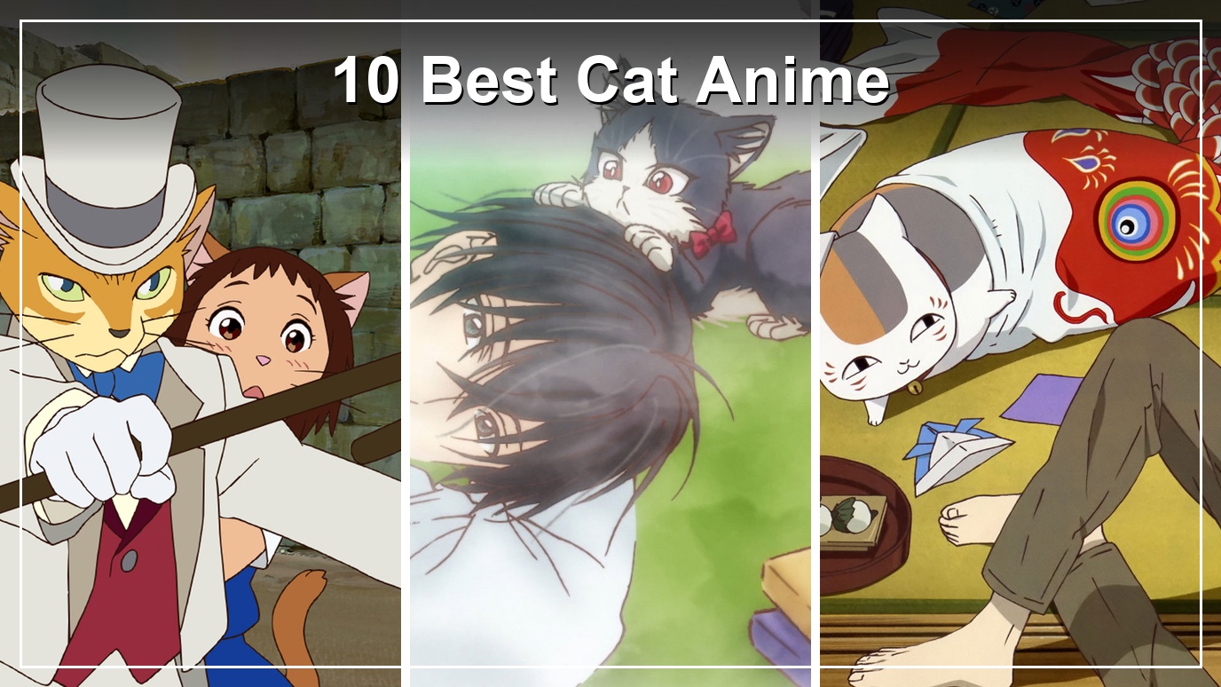 10 Best Cat Anime: Where to Stream Them in the US (2026)