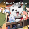 10 Best Dog Anime: Where to Stream Them in the US (2026)