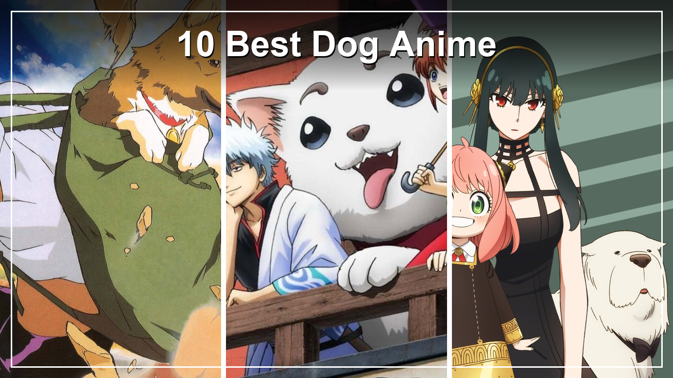10 Best Dog Anime: Where to Stream Them in the US (2026)